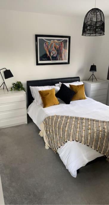 Stylish Highland Home South Kessock エクステリア 写真